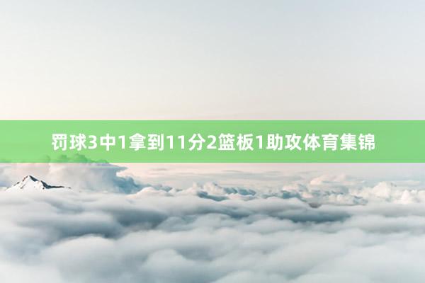 罚球3中1拿到11分2篮板1助攻体育集锦
