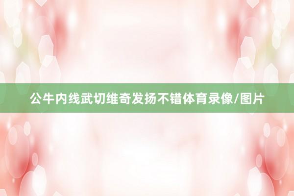 公牛内线武切维奇发扬不错体育录像/图片