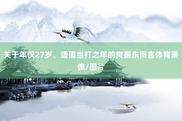 关于年仅27岁、适值当打之年的樊振东而言体育录像/图片