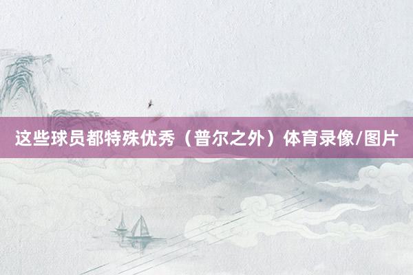 这些球员都特殊优秀（普尔之外）体育录像/图片