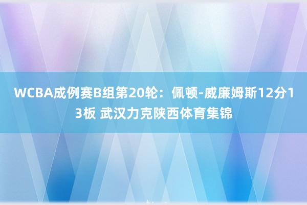WCBA成例赛B组第20轮：佩顿-威廉姆斯12分13板 武汉力克陕西体育集锦