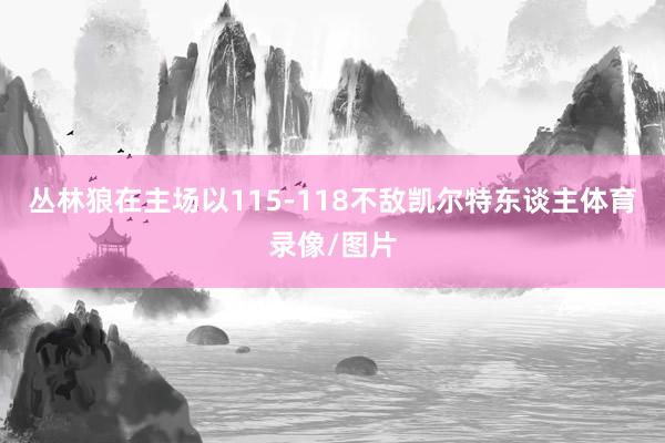 丛林狼在主场以115-118不敌凯尔特东谈主体育录像/图片