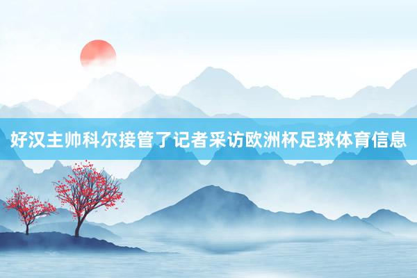 好汉主帅科尔接管了记者采访欧洲杯足球体育信息