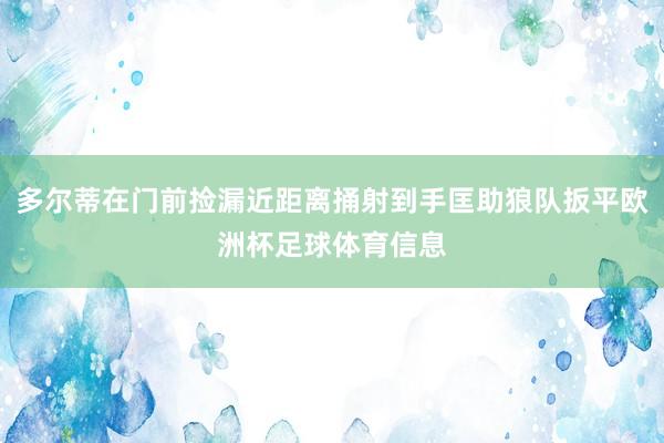 多尔蒂在门前捡漏近距离捅射到手匡助狼队扳平欧洲杯足球体育信息