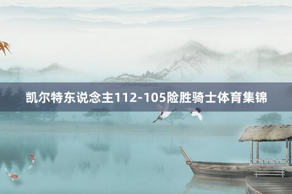 凯尔特东说念主112-105险胜骑士体育集锦