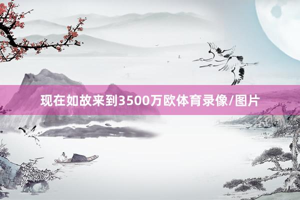 现在如故来到3500万欧体育录像/图片