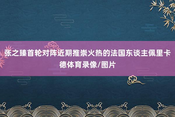 张之臻首轮对阵近期推崇火热的法国东谈主佩里卡德体育录像/图片