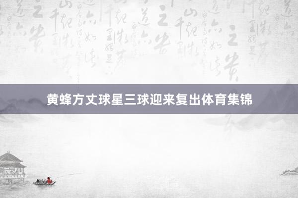 黄蜂方丈球星三球迎来复出体育集锦