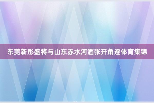 东莞新彤盛将与山东赤水河酒张开角逐体育集锦