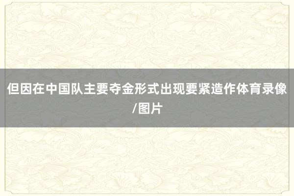 但因在中国队主要夺金形式出现要紧造作体育录像/图片