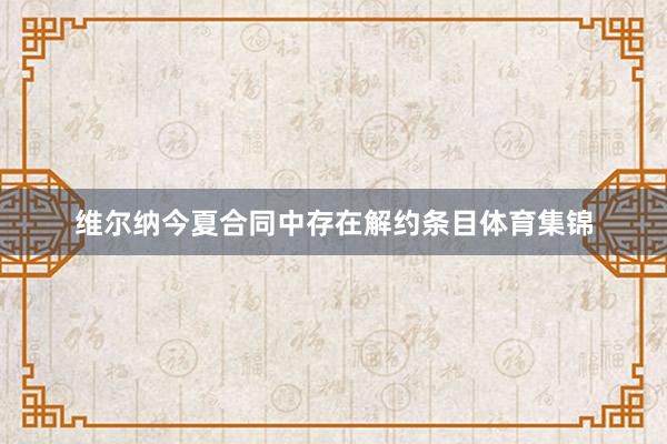 维尔纳今夏合同中存在解约条目体育集锦